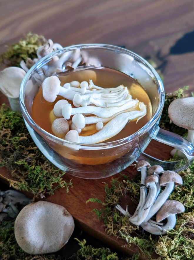 Mushroom Tea Recipe